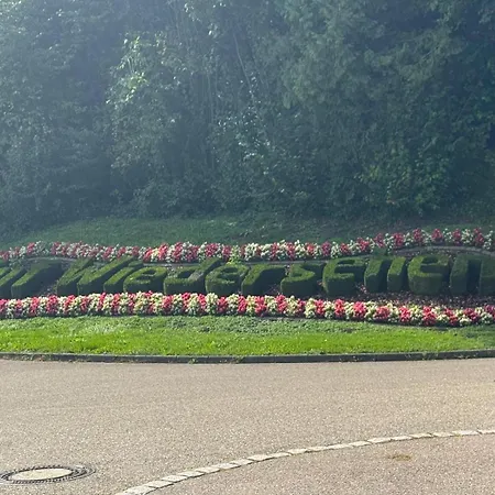 Schwarzwaldloge Zeitlos Appartement Sasbachwalden
