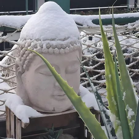 Appartement Schwarzwaldloge Zeitlos